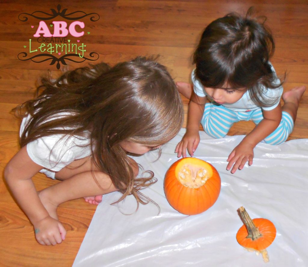 Inside a Pumpkin