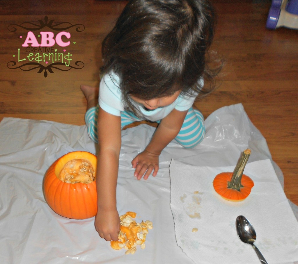 Inside a Pumpkin Science