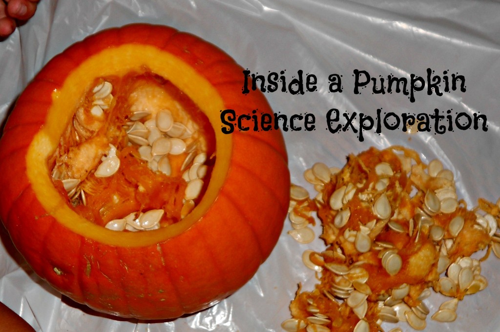 Inside a Pumpkin Science Exploration