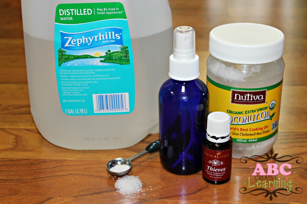 Homemade Sanitizer