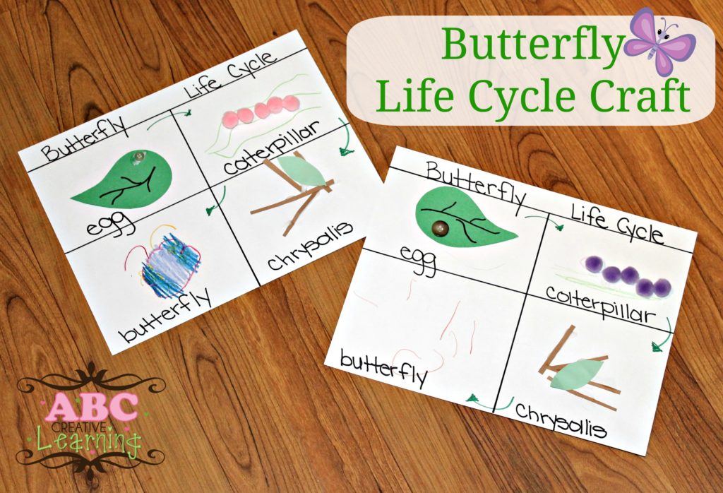 Butterfly Life Cycle Craft | Homeschooling Lesson - simplytodaylife.com