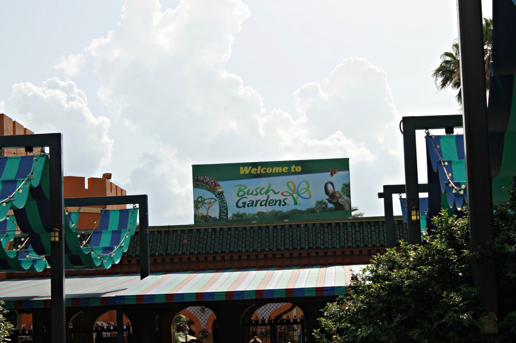 Busch Gardens Tampa Bay