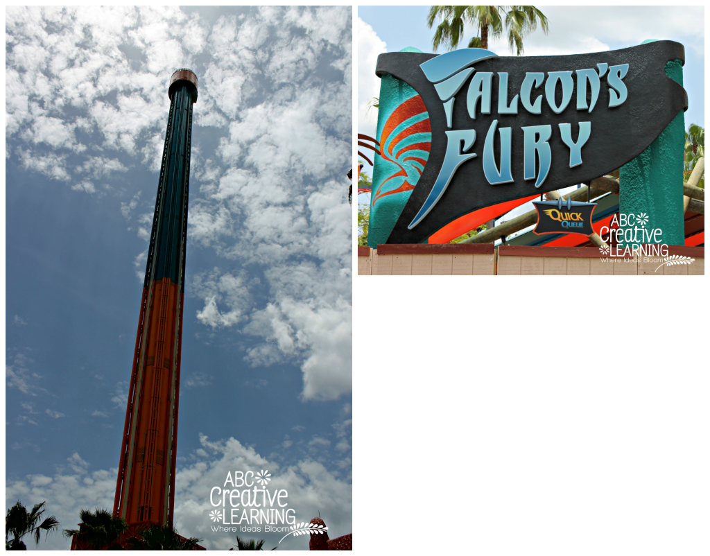 Busch Gardens Tampa Falcons Fury