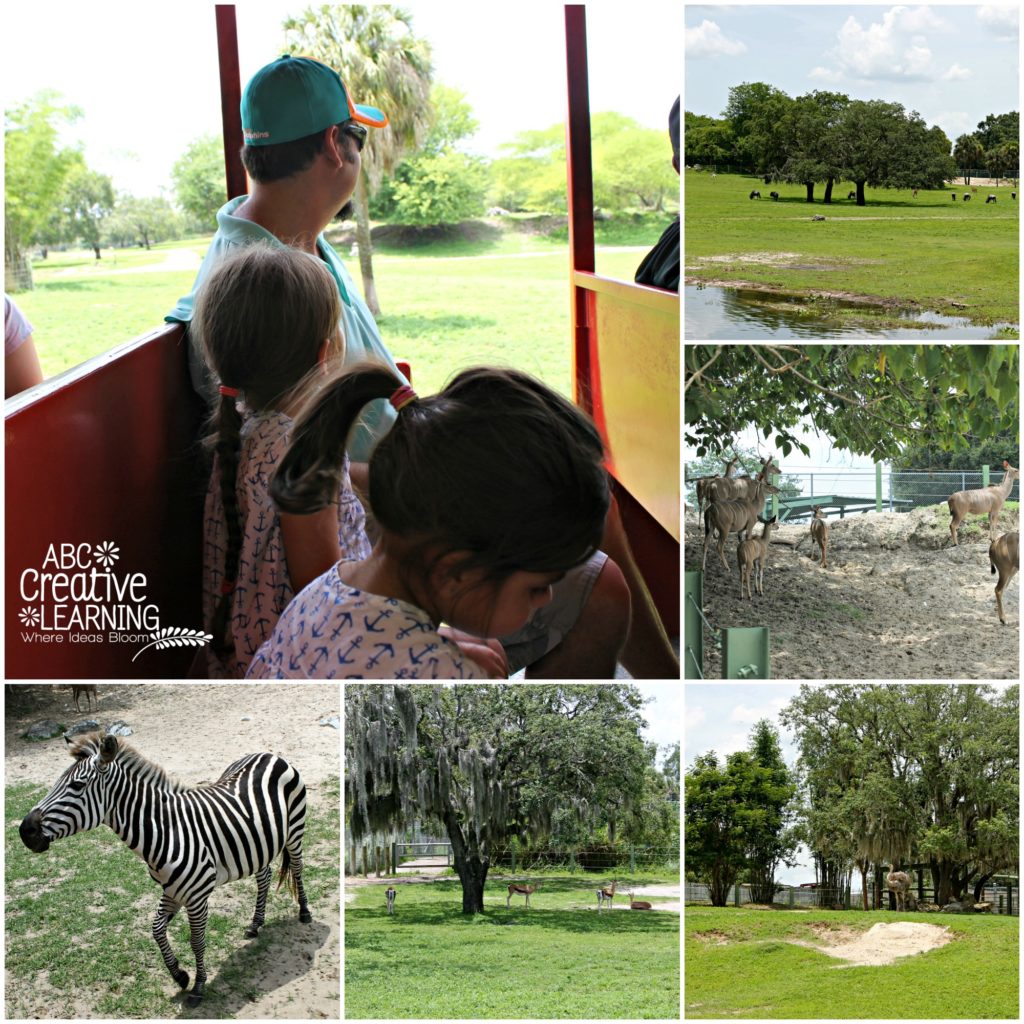 Serengeti Railway