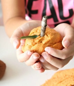 Fall Sensory Activities For Preschoolers