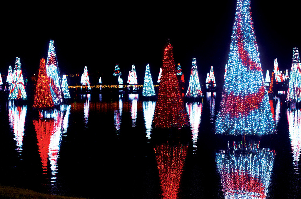 SeaWorld's Christmas Celebration SEa of Trees