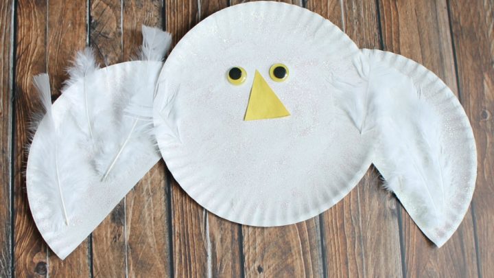 https://simplytodaylife.com/wp-content/uploads/2015/01/Arctic-Paper-Plate-Snowy-Owl-Kids-Craft-720x405.jpg