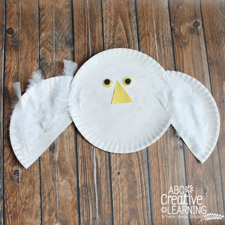 Paper Plate Snow Owl Kids Craft