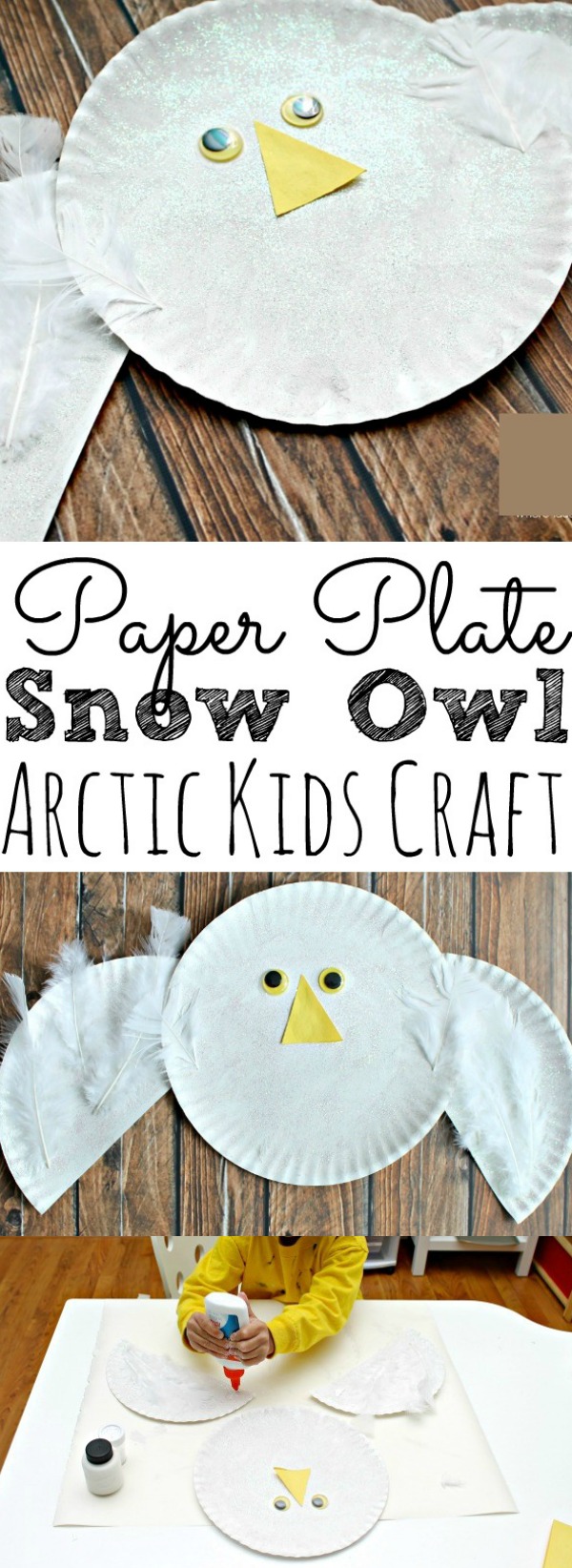Paper Plate Snowy Owl Kids Craft