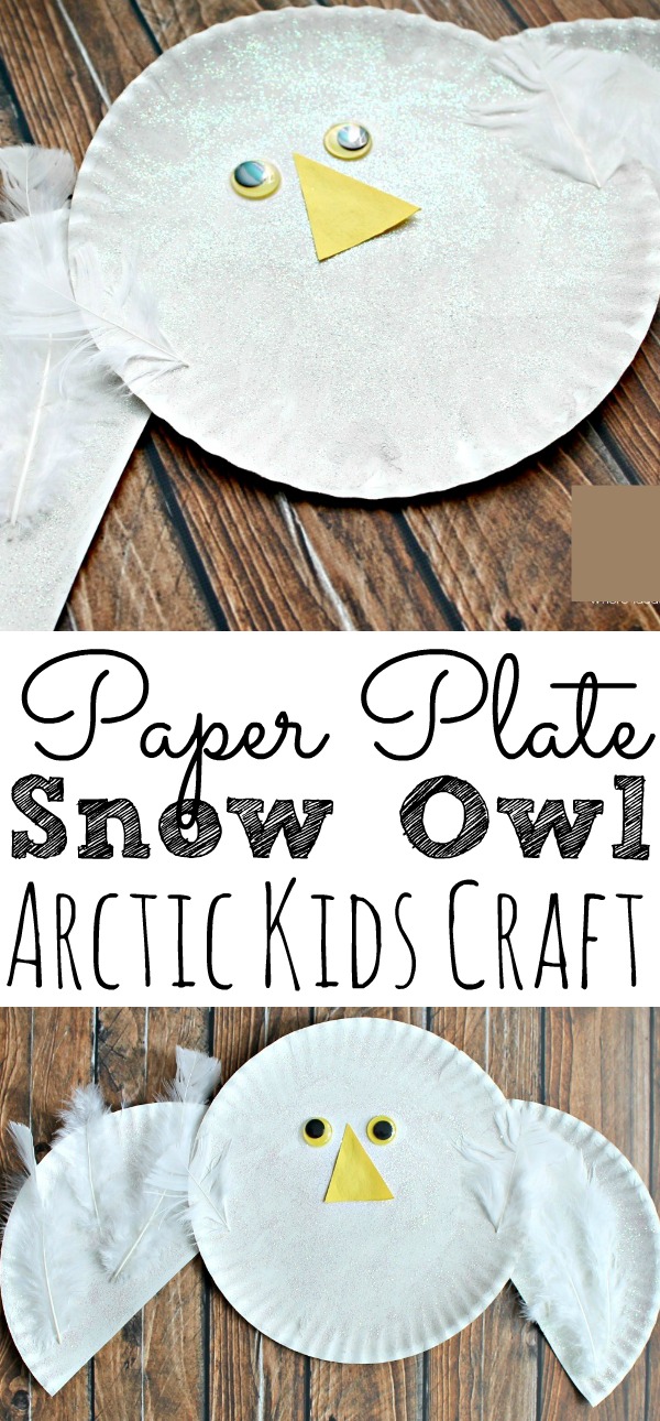 Easy Paper Plate Snowy  Owl  Kids Craft 