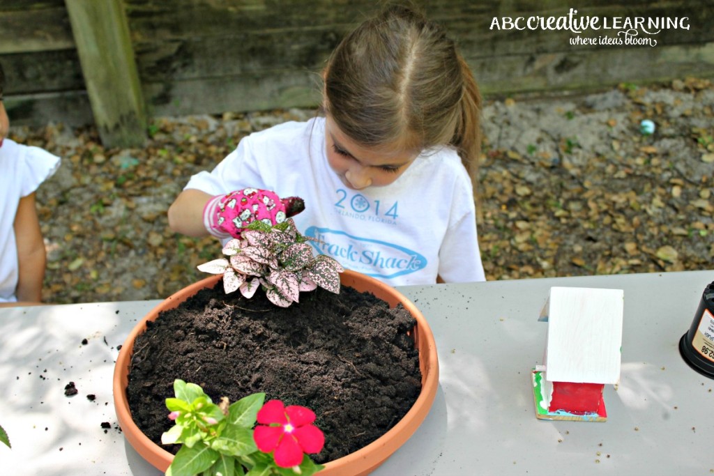 DIY Fairy Garden Inspired by Tinkerbell and Friends Fairy Plants