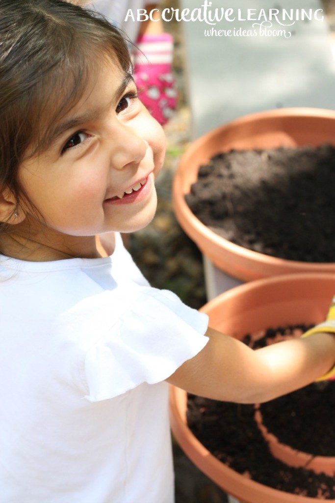 DIY Fairy Garden Inspired by Tinkerbell and Friends Soil in Pots