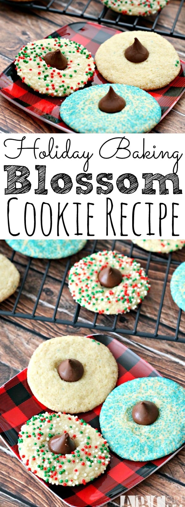 Holiday Baking Blossom Cookie Recipe
