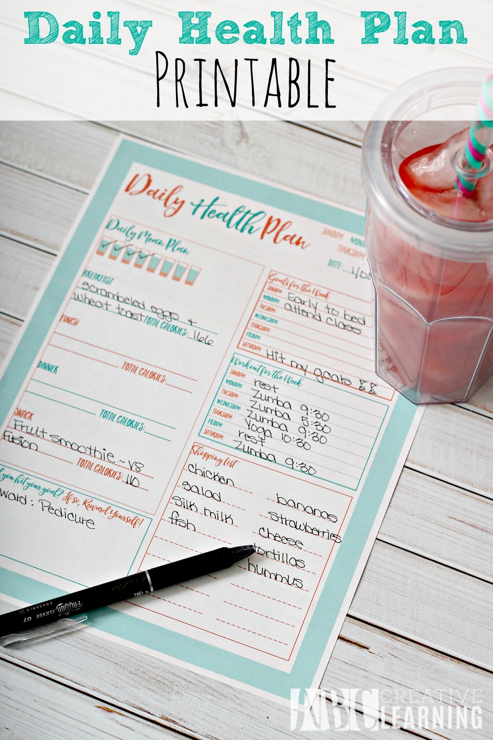 Daily Health Plan Printable