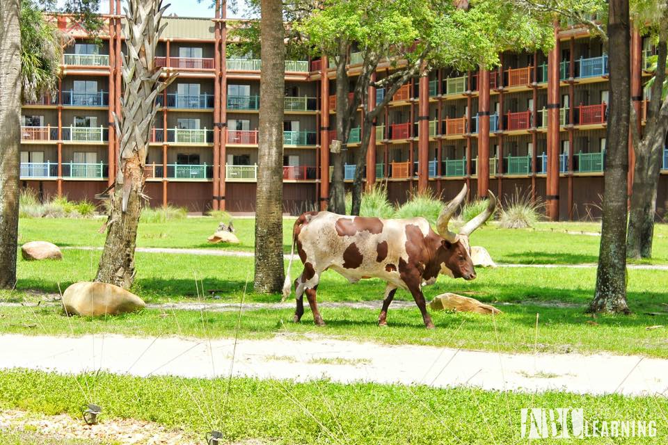 Reasons To Stay At Disney's Animal Kingdom Lodge #ZootopiaEvent Animals1