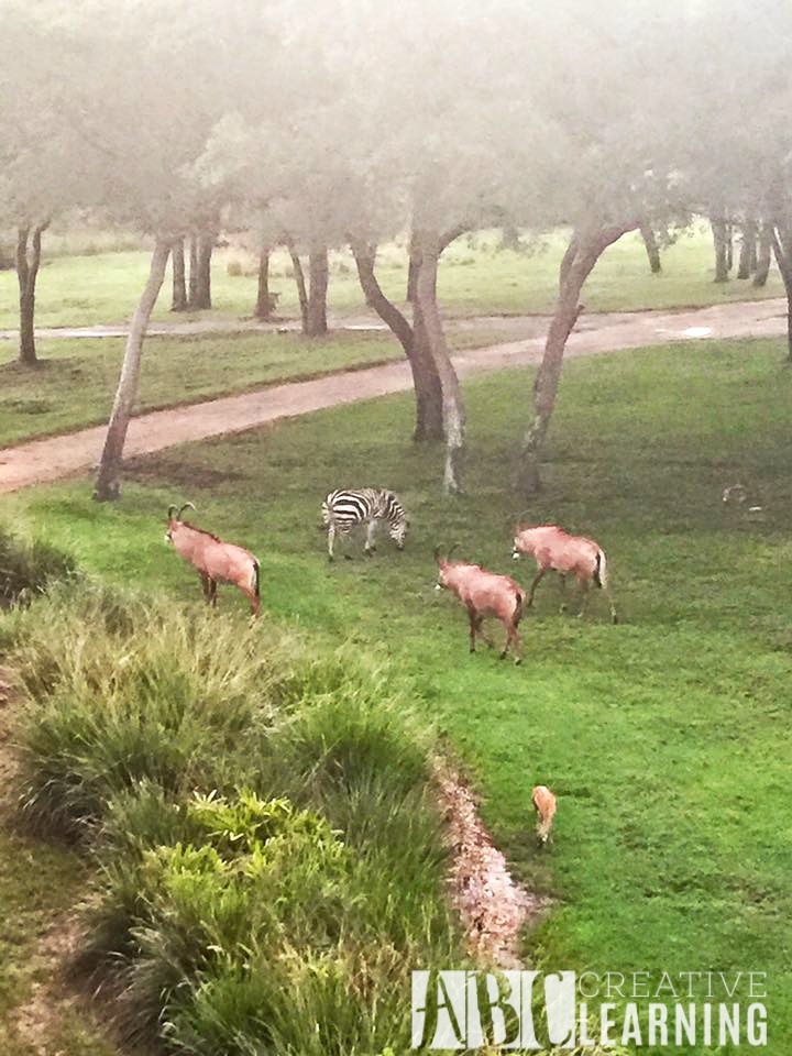 Reasons To Stay At Disney's Animal Kingdom Lodge #ZootopiaEvent Animals2