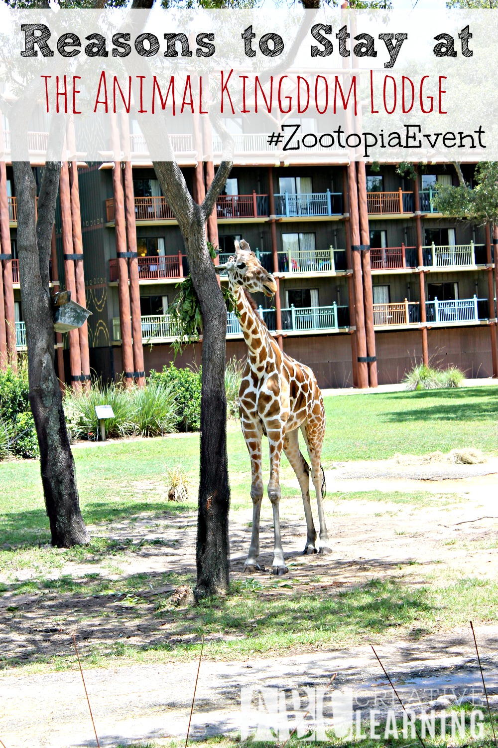 Reasons To Stay At Disney's Animal Kingdom Lodge #ZootopiaEvent