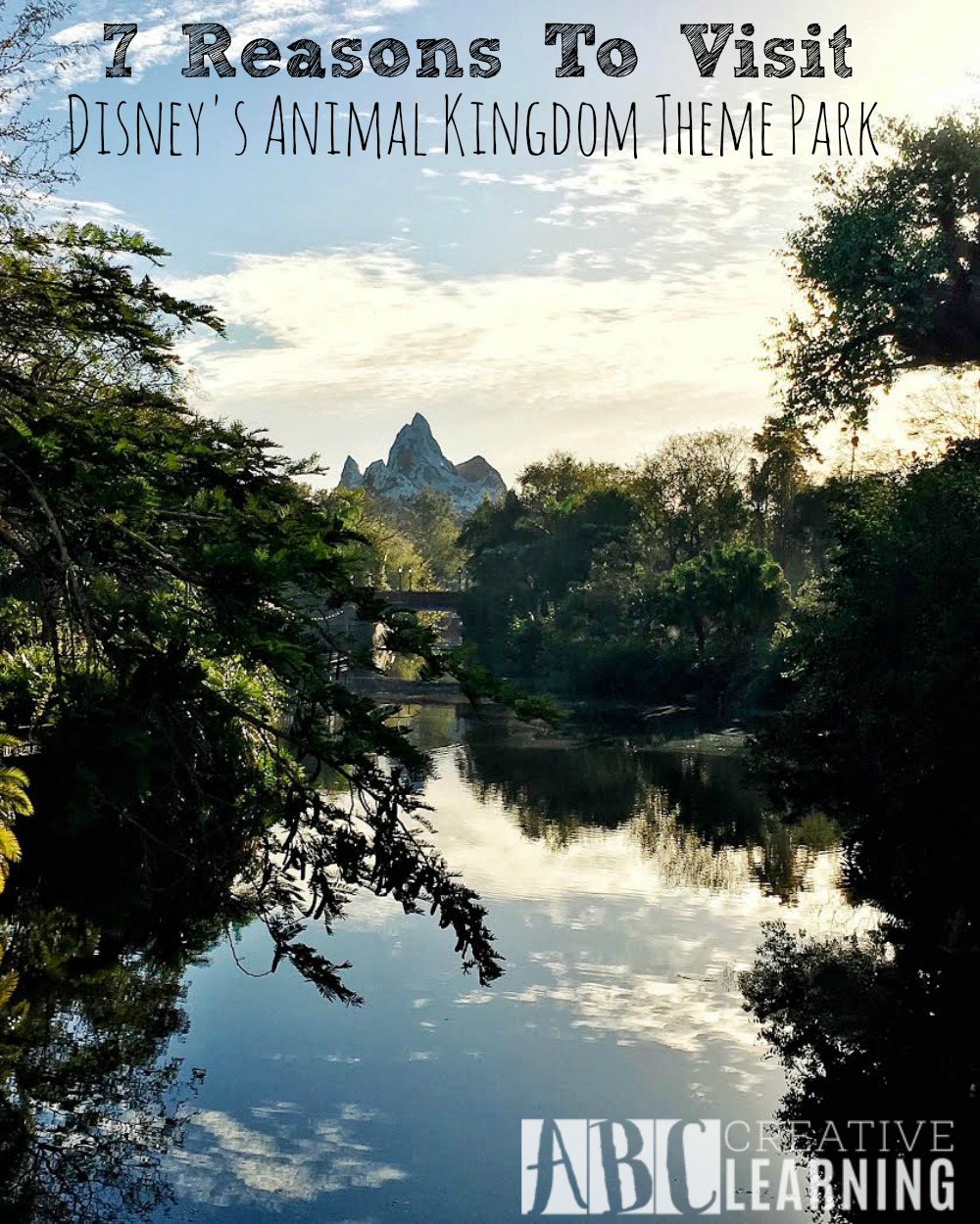 7 Reasons To Visit Disney's Animal Kingdom Theme Park 0