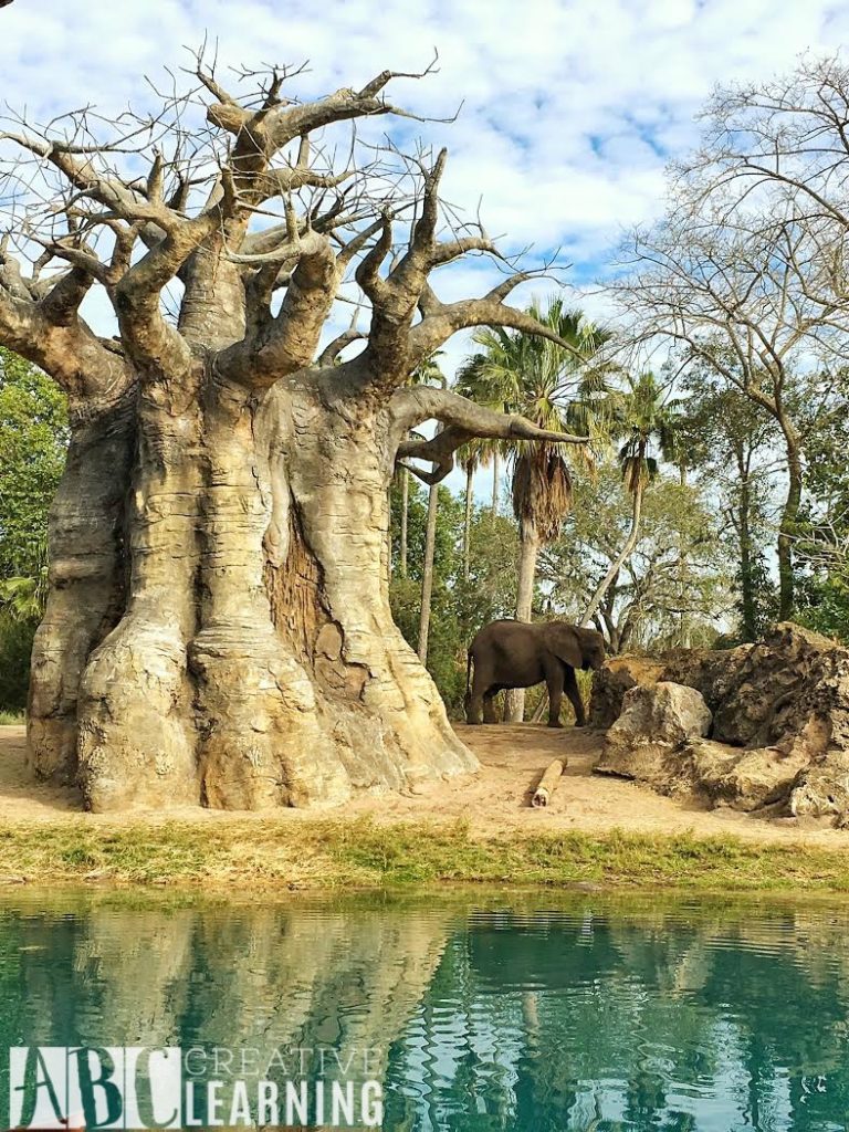 7 Reasons To Visit Disney's Animal Kingdom Theme Park E