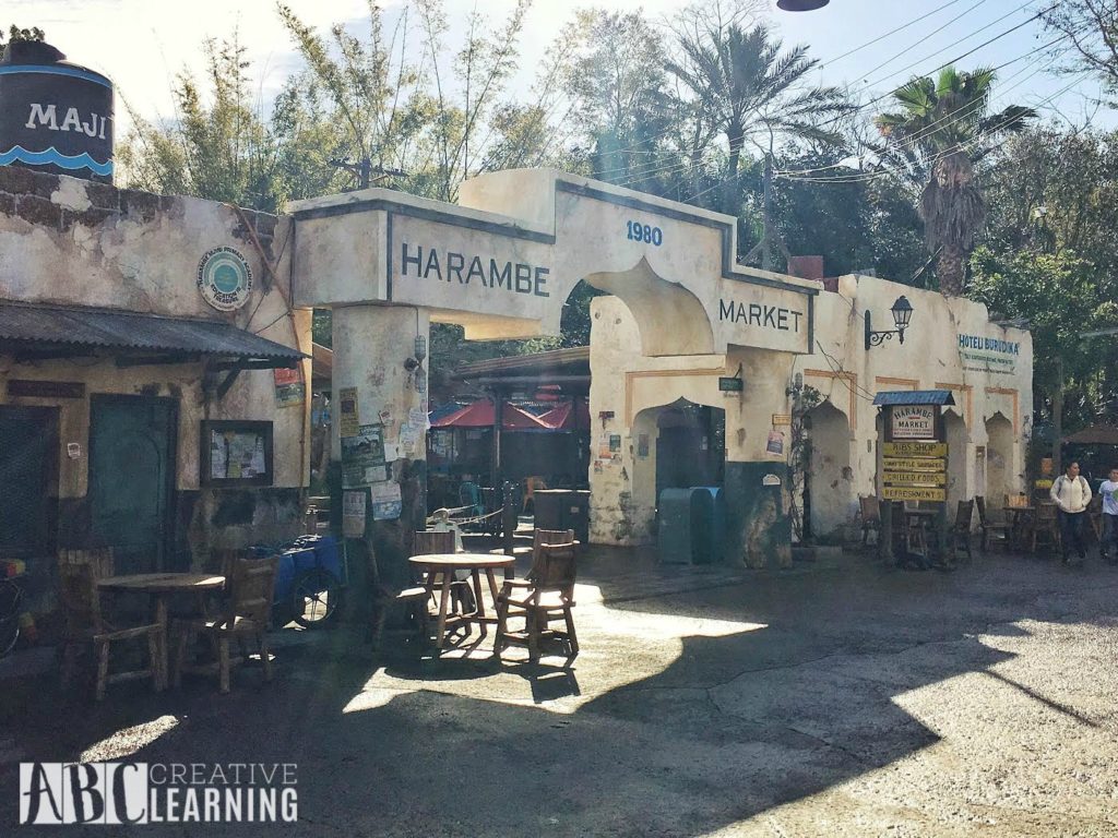 7 Reasons To Visit Disney's Animal Kingdom Theme Park Harambe