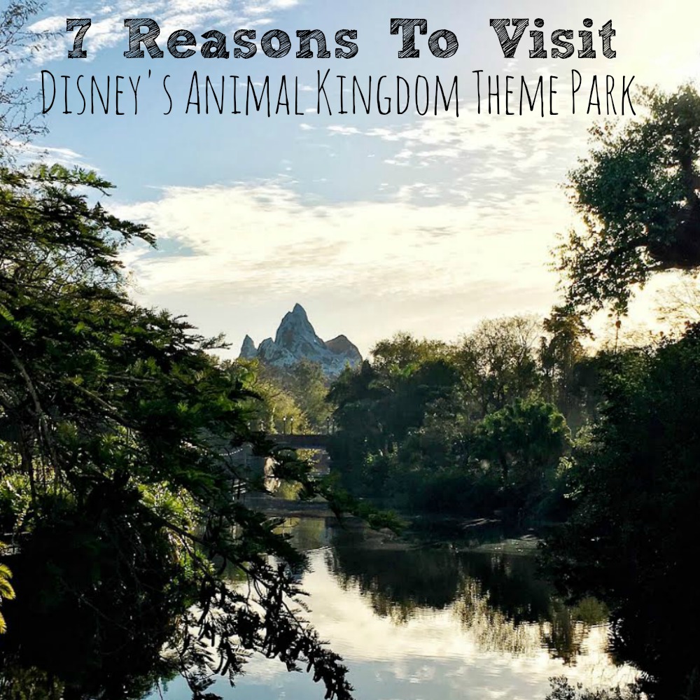 7 Reasons To Visit Disney's Animal Kingdom Theme Park 7 Reasons To Visit Disney's Animal Kingdom Theme Park