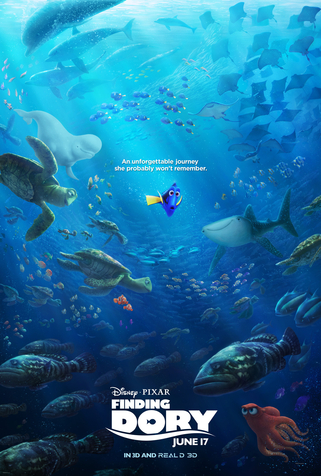 Printable Finding Dory Coloring Pages and Activity Sheets