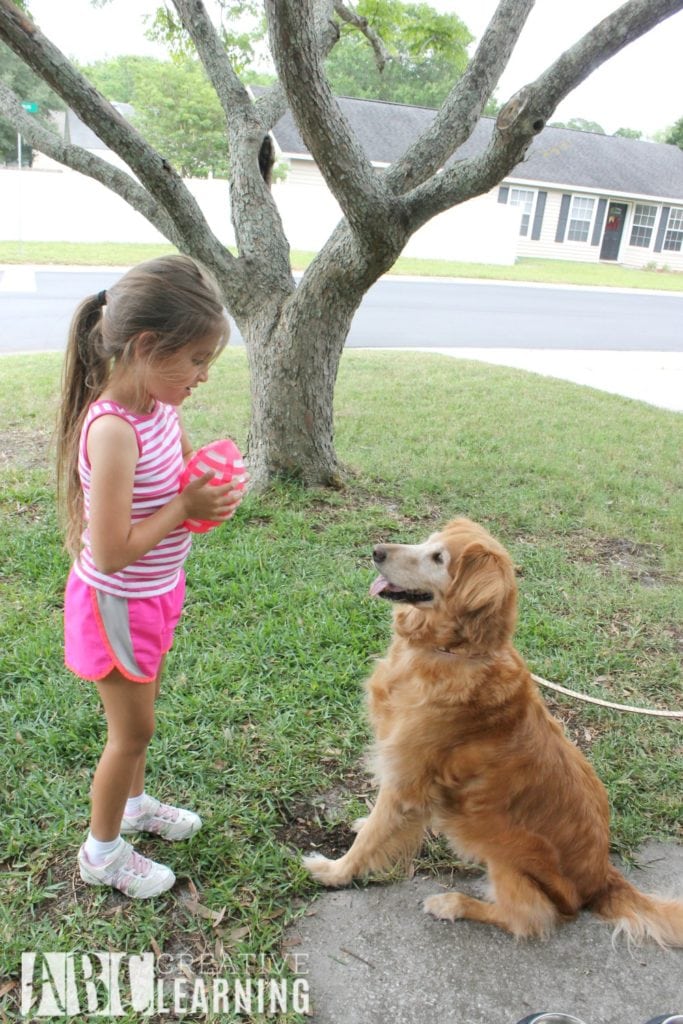 Tips For Making Summer the Best For Your Pets Play