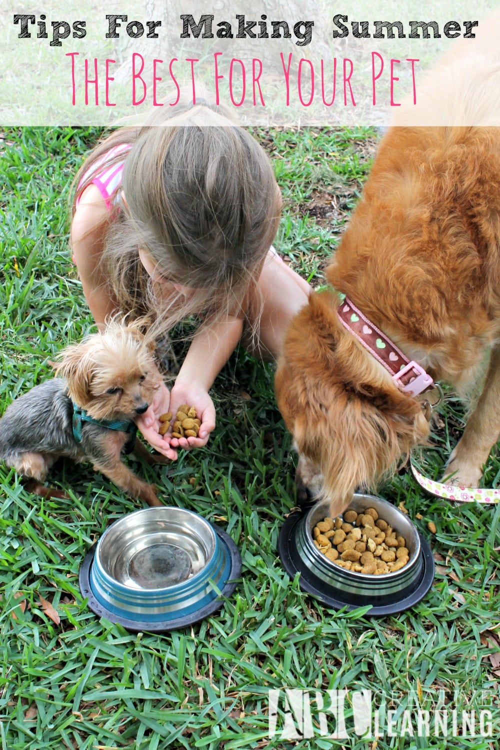Tips For Making Summer the Best For Your Pets