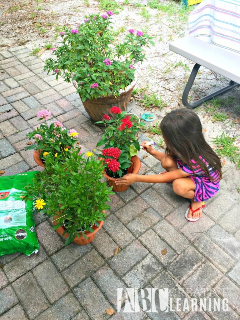 Backyard Gardeningn Party Planting