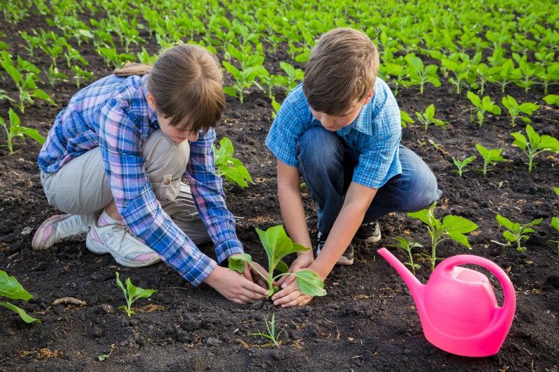 Learning To Plant Outdoors Kids Life Skills