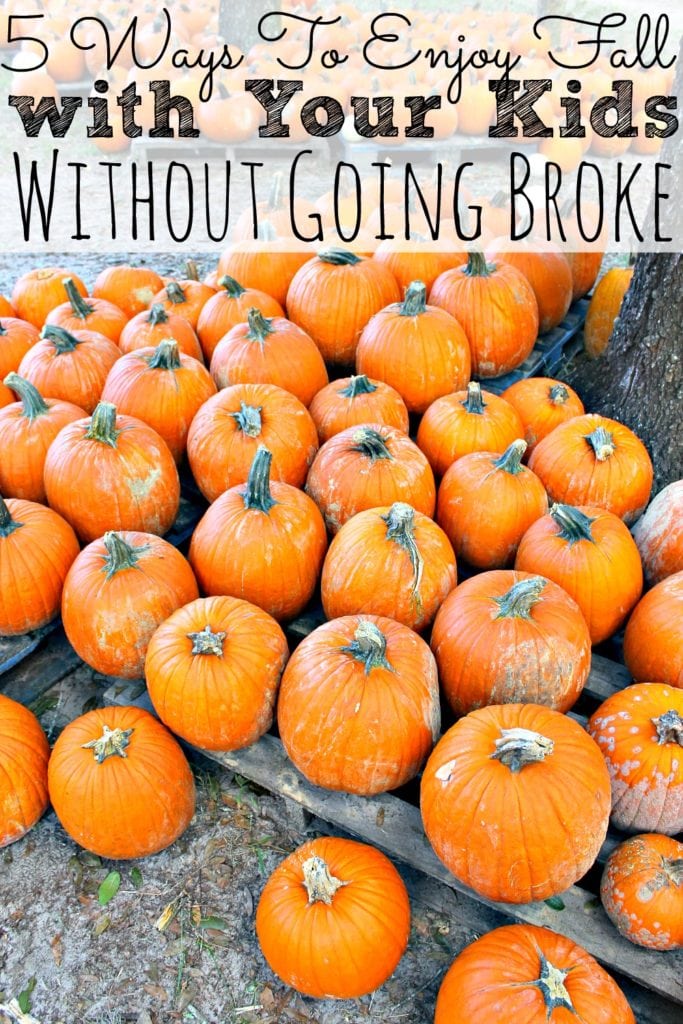 5 Ways To Enjoy Fall With Your Kids Without Going Broke