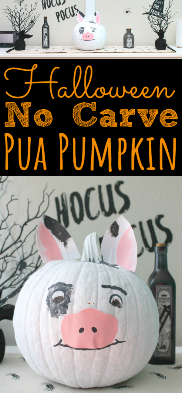 Halloween No Carve Pua Pumpkin 