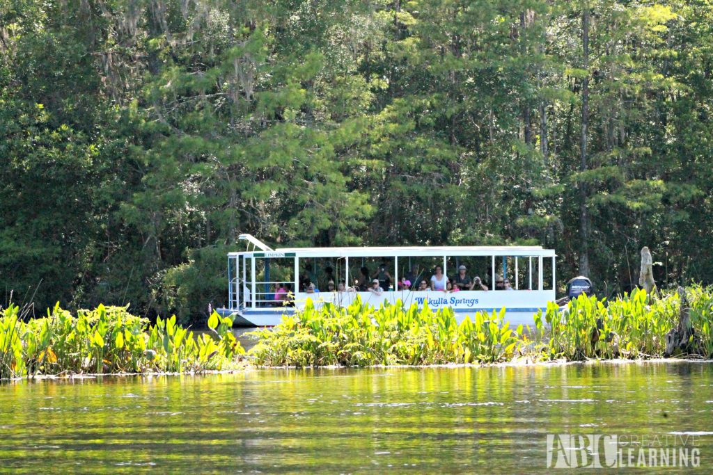 Free or Cheap Activities to do with Kids in Florida - Boat Tour