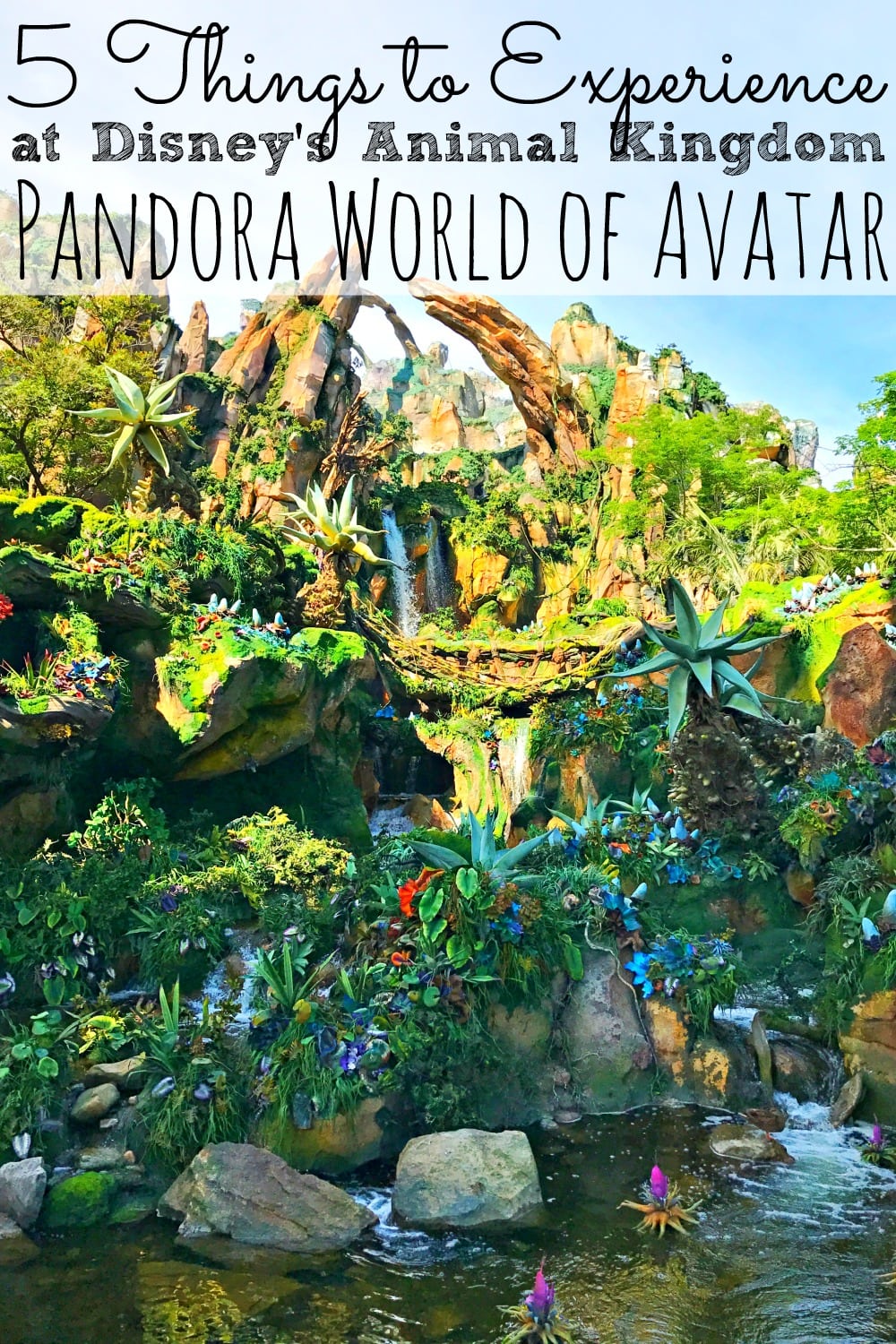 Pandora World of Avatar at Disney's Animal Kingdom | 5 Things To