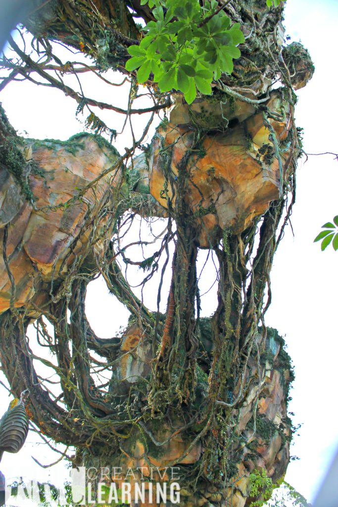 Pandora - World of Avatar at Disney's Animal Kingdom | 5 Things To Experience #VisitPandora Floating Mountains