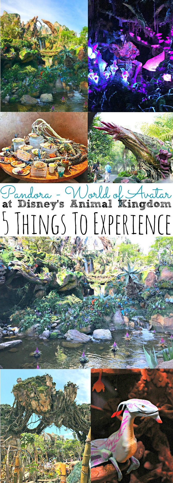 Pandora - World of Avatar at Disney's Animal Kingdom | 5 Things To Experience - simplytodaylife.com