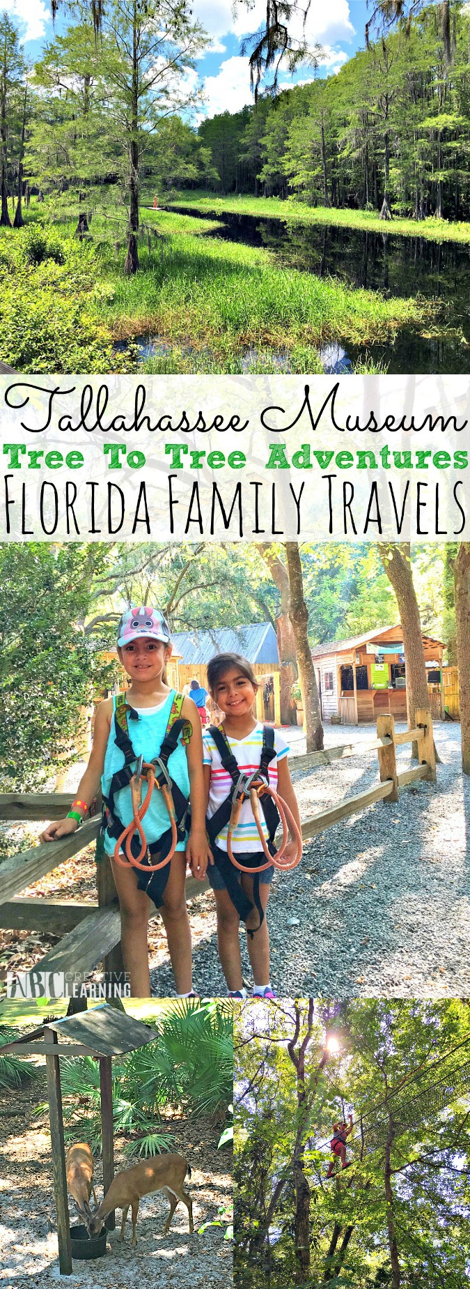 Tallahassee Musuem Tree to Tree Adventures