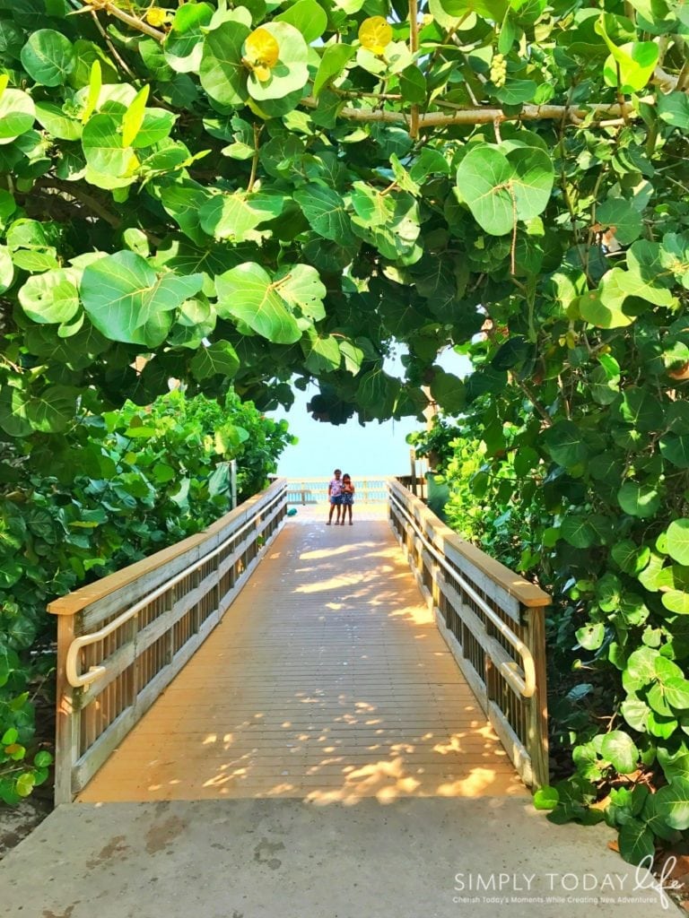 8 Reasons To Stay At Disney's Vero Beach Resort + Room Tour - Vero Beach Florida