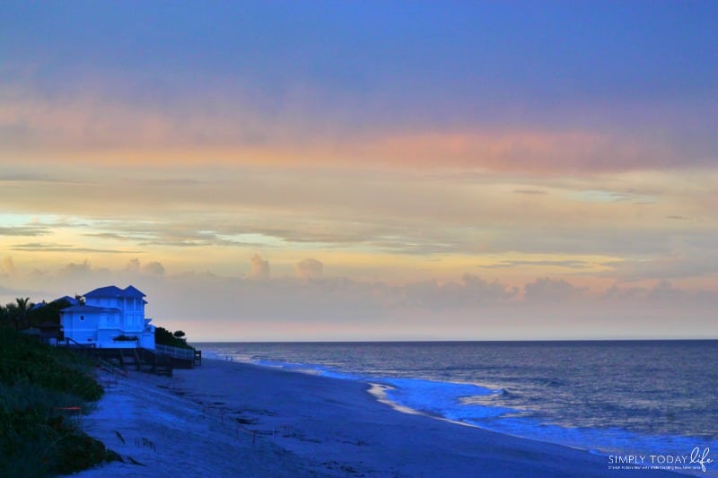 8 Reasons To Stay At Disney's Vero Beach Resort + Room Tour - Sunset