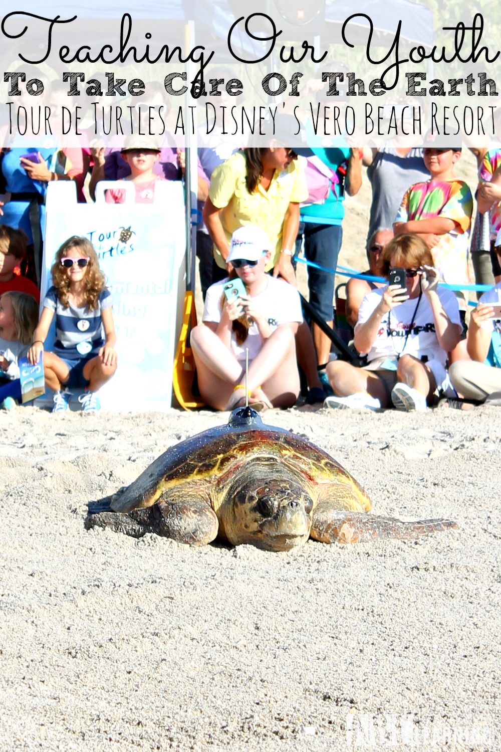 Teaching Our Youth To Take Care Of The Earth | Tour de Turtles at Disney's Vero Beach Resort -simplytodaylife.com
