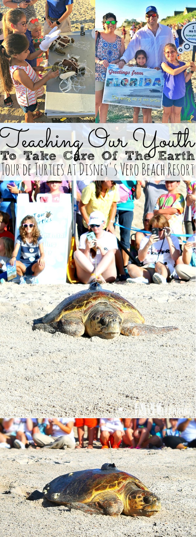 Tour de Turtles Event at Disney's Vero Beach Resort