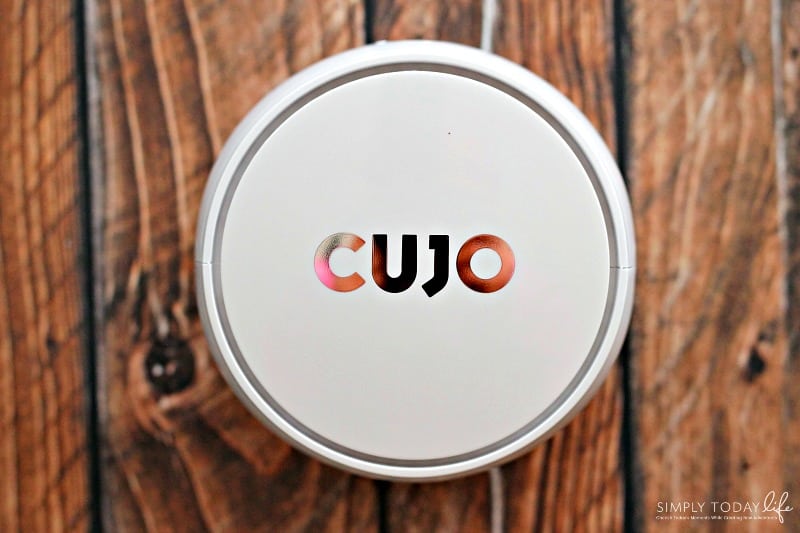 Parents Guide To Keeping Your Family Safe From Technology with CUJO Protection