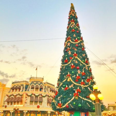 Create Family Memories at Mickey's Very Merry Christmas Party #VerryMerry Christmas Tree