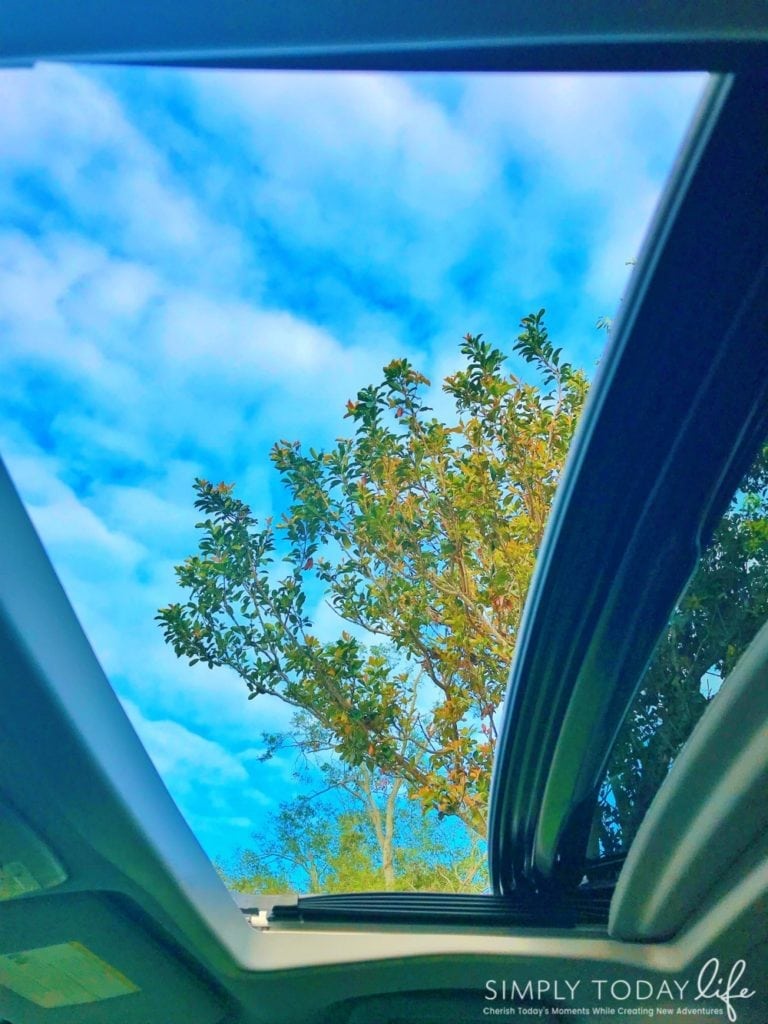 Reasons The Toyota Sienna SE Is The Perfect Family Car Sunroof