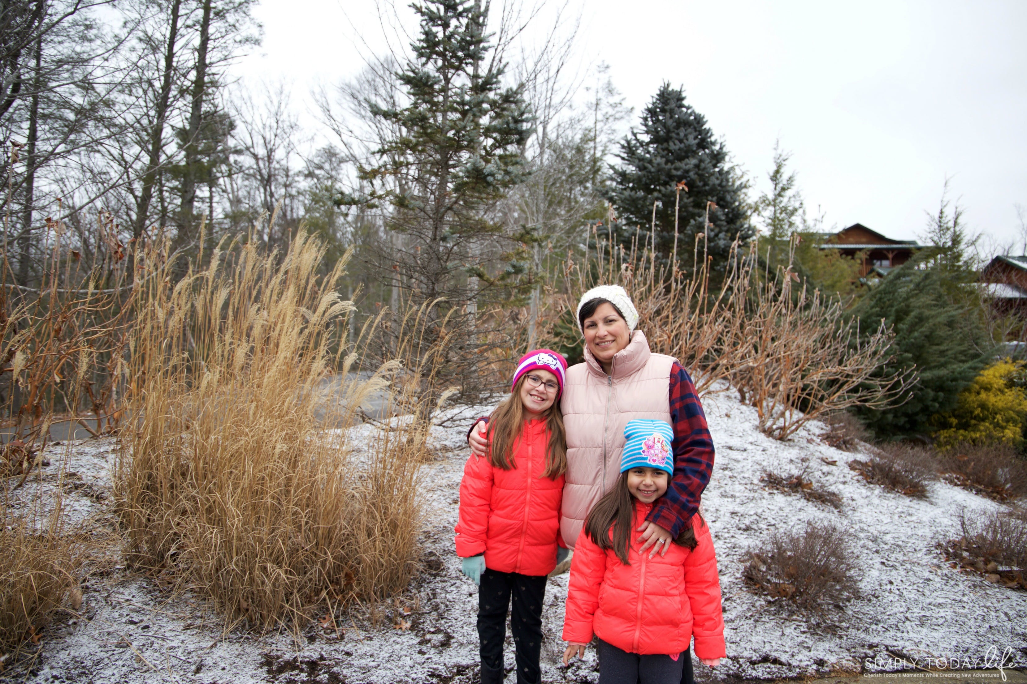 Snow on the Smoky Mountains Cabin Stay - simplytodaylife.com