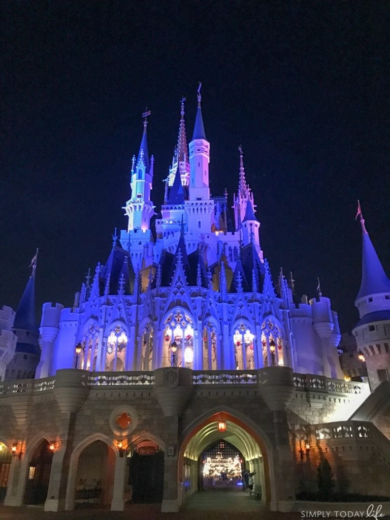 Magic Kingdom Cinderella's Castle At Night