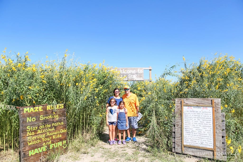 Fall Family Memories and Corn Maze