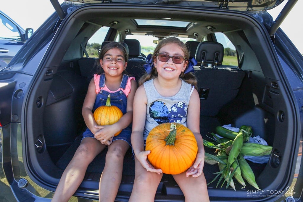 Family Car The Chevrolet Equinox Premier