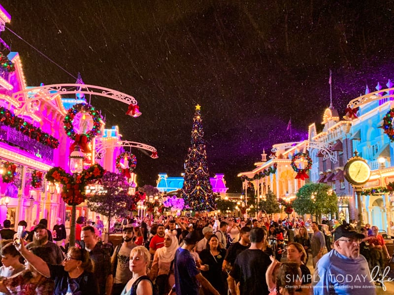 Main Street USA Disney at Christmas