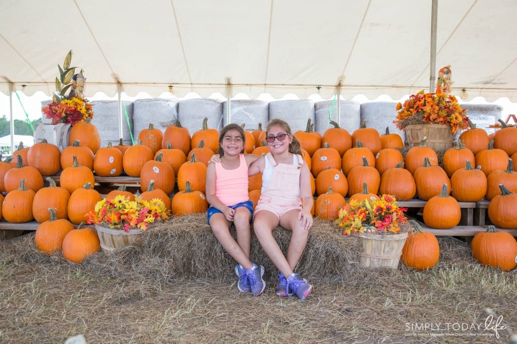 Pumpkin Patch Picking in the Chevy Equinox